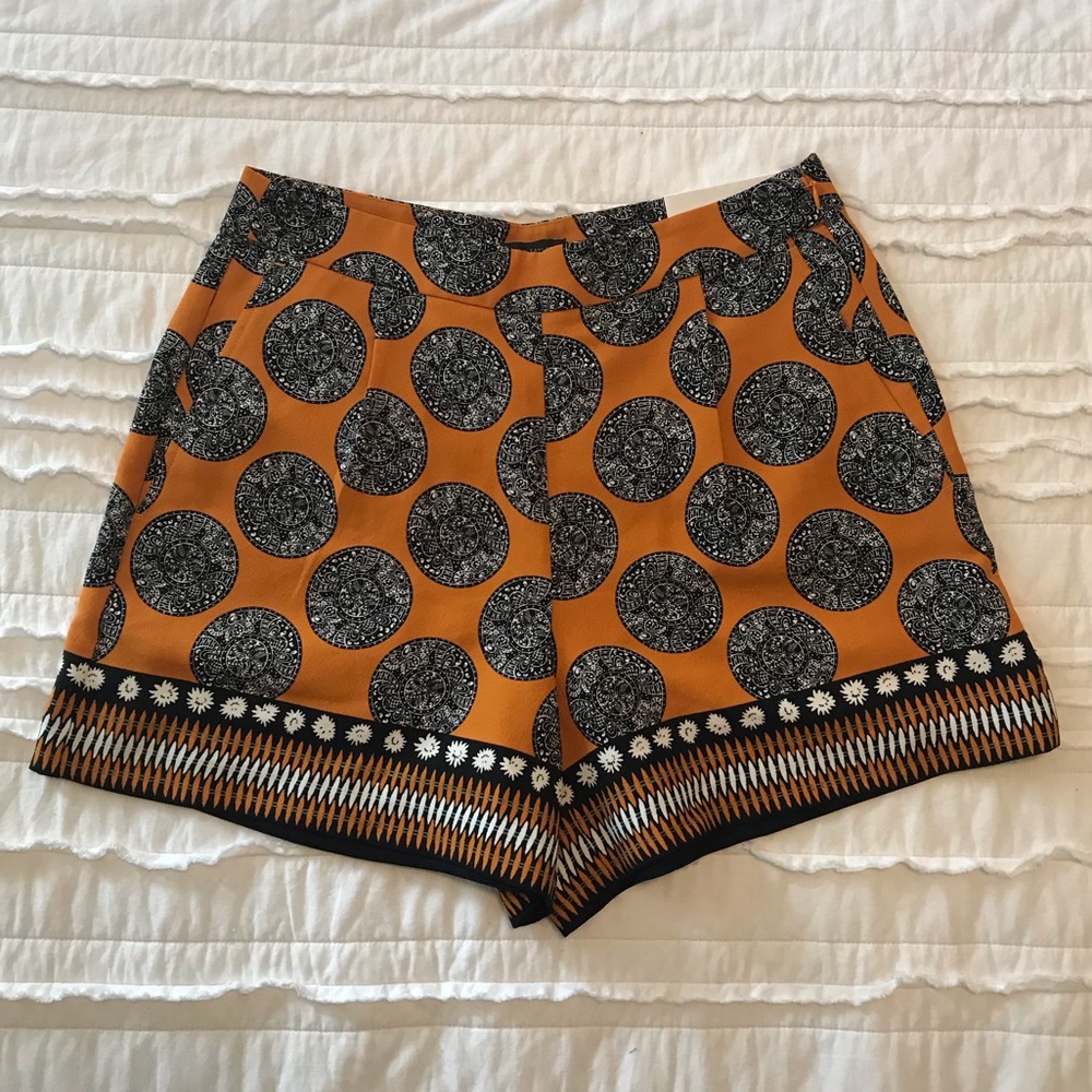 Ann Taylor Shorts